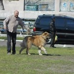 Ник на стадионе.